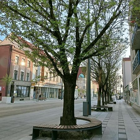 Apartament Bulwar Gorzów Wielkopolski Exteriér fotografie